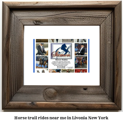 horse trail rides near me in Livonia, New York